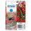 Cartuccia per Cartuccia Epson 503 Cyan Rendimento Standard Pack Individuale