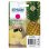 Cartuccia per Cartuccia Epson 604 Magenta Rendimento Standard