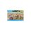 Spielzeug-Set Playmobil Wiltopia Wombat-Australien-Refugium
