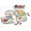 Puzzle APLI Kids 19437 Flaggen 4 Teile 5 Jahre