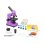 Microscopio Levenhuk Rainbow 2l Amatista