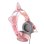 Cuffie ONIKUMA X15 PRO cablate USB e jack 3,5 mm gaming rosa con orecchie da gatto