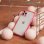 Bumper Color Para Iphone 12