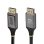 DisplayPort 2.1 Kabel StarTech 3 m Schwarz