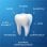 Pasta dentífrica Oral-B Pro-Expert Universal 75 ml Menta Adulto
