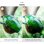 Makro-Ringblitz JJC MRL-TG1 Olympus TG-7/TG-6/TG-5