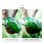 Makro-Ringblitz JJC MRL-TG1 Olympus TG-7/TG-6/TG-5