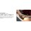 NoiseFit Diva Araya Bluetooth 1,28" Plata Correa Talla Única IP68 SpO2 Pulsómetro