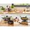 Allzweckpfanne Tefal B55504 24 cm Schwarz Antihaftbeschichtung Titan