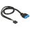 Cable USB interno DeLOCK 83776 0,45 m adaptador de 9 a 19 pines