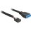 Cable USB interno DeLOCK 83776 0,45 m adaptador de 9 a 19 pines