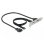 Supporto per slot USB 3.2 Gen 2 DeLOCK 0,5 m USB-C e USB-A nero