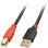 Cable USB 2.0 A Macho a B Macho 10 m Lindy Negro/Rojo