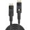 Cable DisplayPort 1.4 Lindy 10 m Mini DisplayPort a Mini DisplayPort Negro