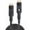 Cable DisplayPort 1.4 Lindy 10 m Mini DisplayPort a Mini DisplayPort Negro