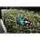 Cortasetos eléctrico Makita DUH502Z 18V 50 cm 4,2 kg