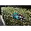 Cortasetos eléctrico Makita DUH502Z 18V 50 cm 4,2 kg