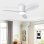 Deckenventilator mit Licht Autrucker 20W 107cm 6 Stufen LED Fernbedienung Winterbetrieb