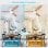 Deckenventilator mit Licht Autrucker 20W 107cm 6 Stufen DC Fernbedienung Winterbetrieb