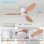 Deckenventilator mit Licht Autrucker 20W 107cm 6 Stufen DC Fernbedienung Winterbetrieb