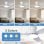 Deckenventilator mit Licht Autrucker 40'' LED 6 Stufen Fernbedienung Leise
