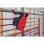 Ventilatore da Pavimento Senza Fili Einhell GE-CF 18/2200 Li 3 Velocità Inclinazione 360° Batteria