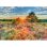 Puzzle Schmidt Spiele 59768 Flora 1000 pièces