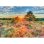 Puzzle Schmidt Spiele 59768 Flora 1000 pièces