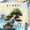 Jeu de société KOSMOS Bonsai Famille 10 ans 30-45 min 1-4 joueurs
