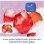 Caisse d'expériences savon Kosmos 65792 Chimie pour enfants 8-12 ans