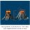 Caisse d'expériences Kosmos Urzeit-Vulkan Supervolcán Développement 8 ans