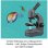 Microscopio KOSMOS 63609 Biologia 400x per bambini dai 10 anni