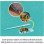 Microscopio KOSMOS 63609 Biologia 400x per bambini dai 10 anni