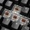Teclado Sharkoon SGK50 S2 mecánico gaming con switches Gateron Brown alemán QWERTZ RGB