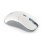 Mouse ENDORFY GEM Plus Wireless RF 26000 DPI Bianco Ambidestro 6 Pulsanti