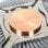 Raffreddamento Aria SilverStone Socket 1700 90x22x90 mm SST-NT07-1700 PWM silenzioso