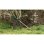 Cortabordes inalámbrico Bosch BrushCut 36 V, 33 cm, acero inoxidable