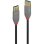 Cable alargador USB 3.2 Gen 1 Lindy Anthra Line 2 m USB-A 5 Gbit/s Negro