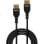 Cabo DisplayPort 1.4 Lindy 3 m Preto
