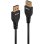 Cabo DisplayPort 1.4 Lindy 3 m Preto