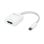 Adaptateur OWC USB-C vers DisplayPort 1.4 8K 60Hz Blanc
