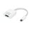 Adaptateur OWC USB-C vers DisplayPort 1.4 8K 60Hz Blanc