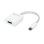 Adapter OWC USB-C nach HDMI 4K 60 Hz 0,108 m Weiß