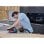 Batería Bosch 1 600 A02 A2U 5,5 Ah 18 V Ión de Litio