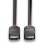 DisplayPort-Kabel 2 m Lindy Black Line Schwarz