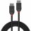 DisplayPort-Kabel 2 m Lindy Black Line Schwarz