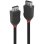 DisplayPort-Kabel 2 m Lindy Black Line Schwarz