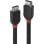 Cable DisplayPort 3 m Lindy Black Line Macho a Macho 4K
