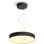 Lampe Suspendue Intelligente Philips Hue White Ambiance Enrave Noir