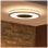 Plafond Lumière de Toit Intelligent Philips Hue White Ambiance Noir